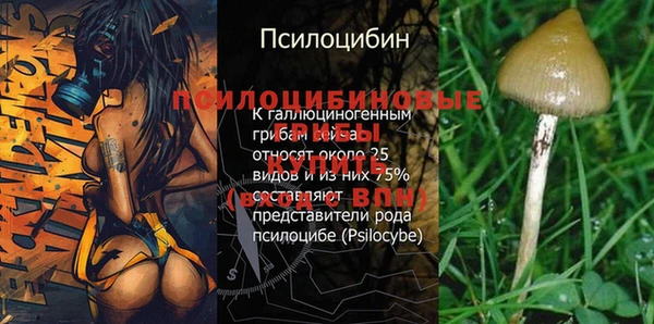 СК Бородино