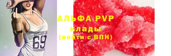 СК Бородино