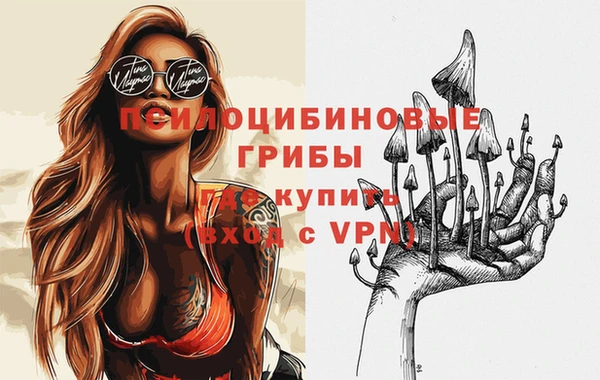 ешки Бронницы