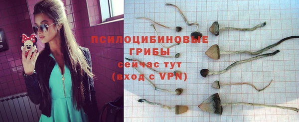 ПСИЛОЦИБИНОВЫЕ ГРИБЫ Бугульма