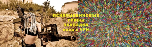 ПСИЛОЦИБИНОВЫЕ ГРИБЫ Бугульма